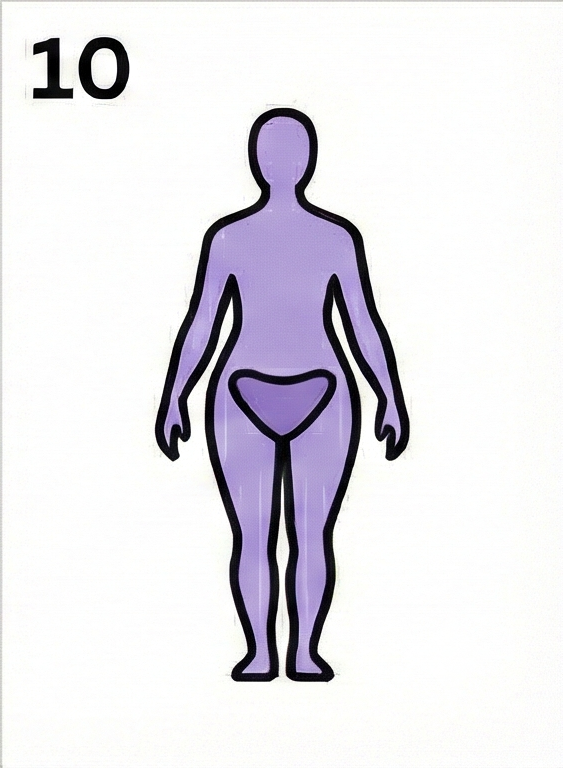 体型画像: 開放体型